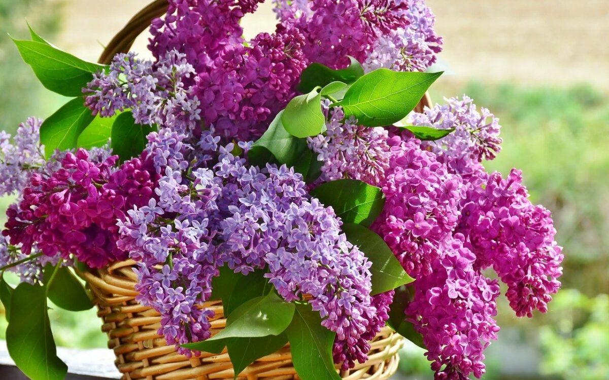 Blumenstrauß by pixabay Blumenstrauß by pixabay